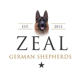 Zeal German Shepherds